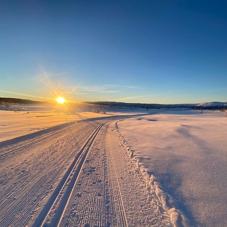 Delikat Hytte Omgitt Av Hallingdals Vakre Fjell Ål Exteriör bild