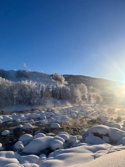 Delikat Hytte Omgitt Av Hallingdals Vakre Fjell Ål Exteriör bild