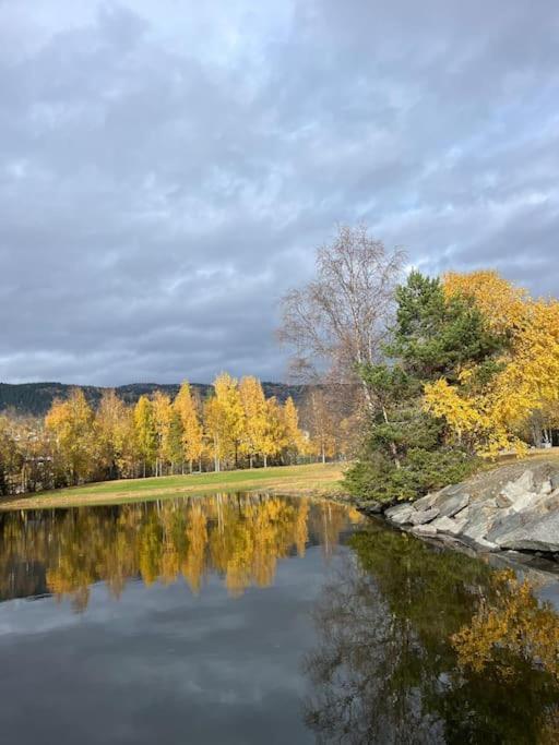 Delikat Hytte Omgitt Av Hallingdals Vakre Fjell Ål Exteriör bild