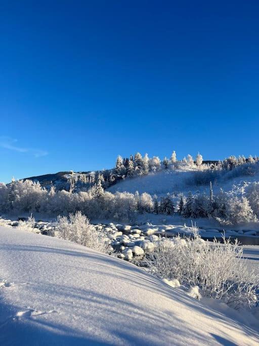 Delikat Hytte Omgitt Av Hallingdals Vakre Fjell Ål Exteriör bild