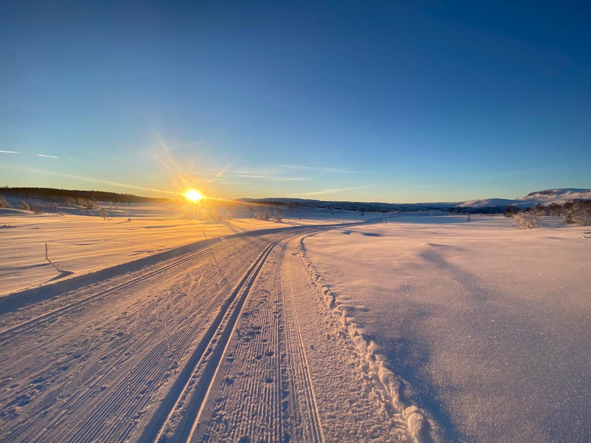 Delikat Hytte Omgitt Av Hallingdals Vakre Fjell Ål Exteriör bild