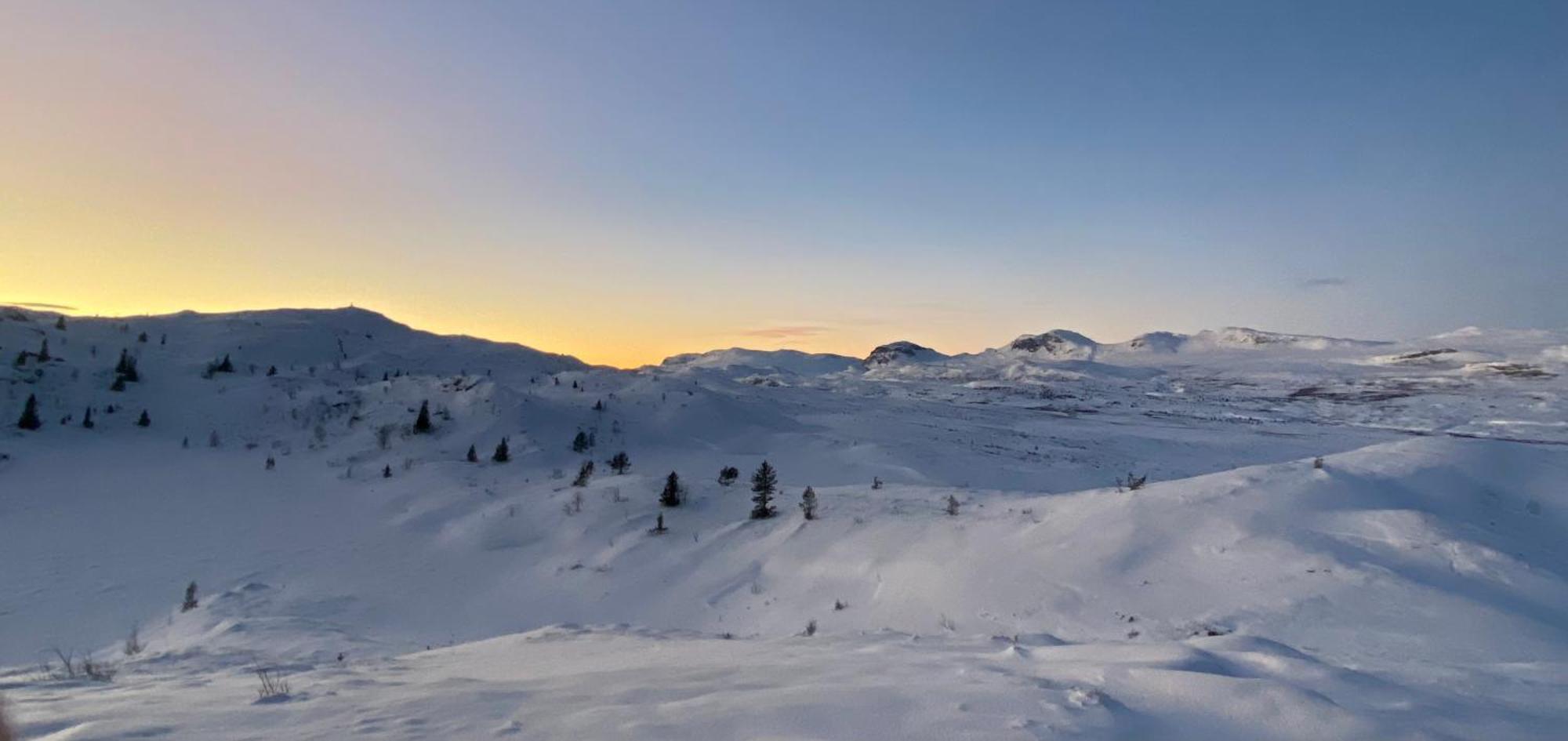 Delikat Hytte Omgitt Av Hallingdals Vakre Fjell Ål Exteriör bild